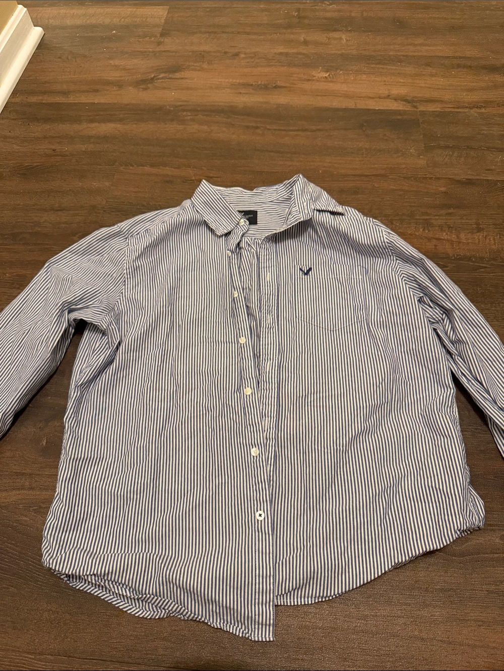 American Eagle Outfitters Blue and White Striped Button-Down Shirt